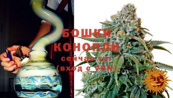 a pvp Пересвет