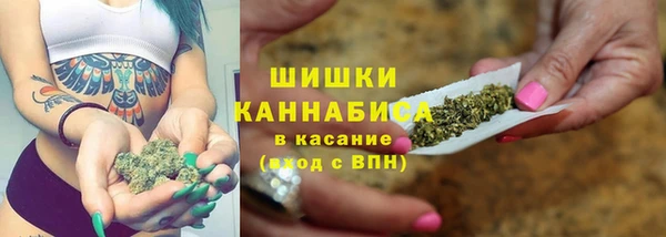 a pvp Пересвет