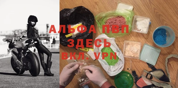 a pvp Пересвет