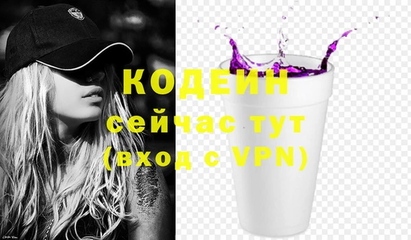 a pvp Пересвет