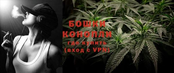 a pvp Пересвет