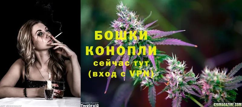 Шишки марихуана Ganja  Артёмовский 